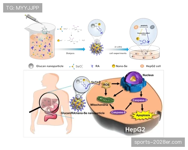 克罗斯与布鲁诺的中场组织如何通过体系分配构建分散型结构
