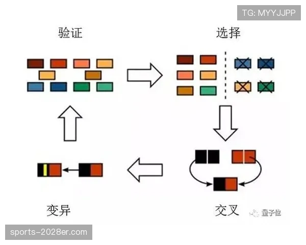 日本世界杯赔率变化解读